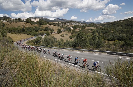 Peloton bhem 5. etapy Tour de France.