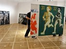 Instalace vstavy obraz Jiho Naeradskho v chebsk Galerii vtvarnho umn.
