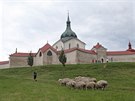 Ovce farme Milana Daourka byly na svah kopce pod Zelenou horou ve ru nad...