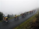 Cyklisté bhem 9. etapy Tour de France