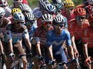 Peloton cyklistické Tour de France v 8. etap.
