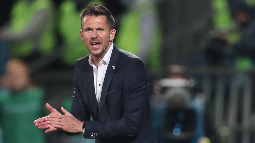 Provizorní �eský kou� David Holoubek povzbuzuje fotbalisty v zápase proti...
