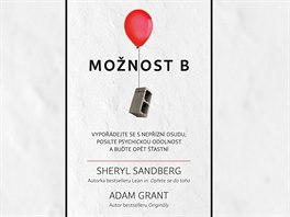 E-kniha Monost B