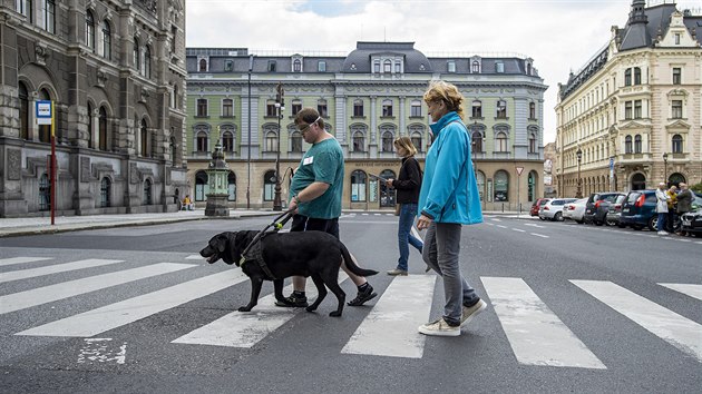 Závod vodicích psů na náměstí Dr. Edvarda Beneše v Liberci pořádal spolek Život jde dál. Soutěž se v krajském městě představila poprvé a je současně považována za neoficiální mistrovství ČR (6. září 2020)
