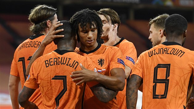Nizozemští fotbalisté se radují z gólu.