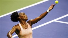 Venus Williamsová na podání v souboji s Karolínou Muchovou.
