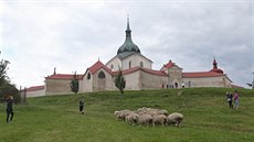 Ovce farmáře Milana Daďourka byly na svah kopce pod Zelenou horou ve Žďáru nad...