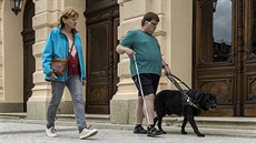 Závod vodicích psů na náměstí Dr. Edvarda Beneše v Liberci pořádal spolek Život...