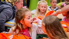 ilustra�ní snímek