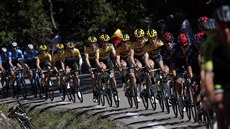 Seikovaný tým Jumbo-Visma v esté etap Tour de France.