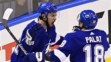 Anthony Cirelli (vlevo) a Ondej Palát oslavují gól Tampa Bay Lightning.