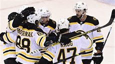 Hokejisté Boston Bruins se radují z gólu Davida Pastráka.