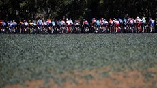 Peloton Tour de France bhem 11. etapy