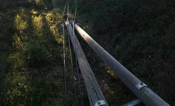 Jedenáct sloupů s elektrickým vedením strhl šofér, který v lese u Špičáku...