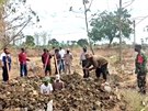 Odprcm rouek v Indonésii bylo naízeno vykopat hrob