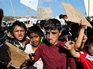 Migranti na ostrov Lesbos protestují a ádají o monost ostrov opustit. (12....