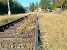 Zarostl� koleje v bl�zkosti �elezni�n� nehody ve stanici Kdyn� na Doma�licku.