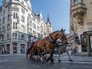 Paíská ulice v centru Prahy je kvli druhé vln koronaviru opt prázdná. (16....