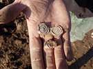 Archeologov pedstavuj raen mince z doby Pemysla Otakara II.