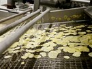 Ve Strnici dnes za den zpracuj zhruba padest tun brambor. Hromada postupuje...
