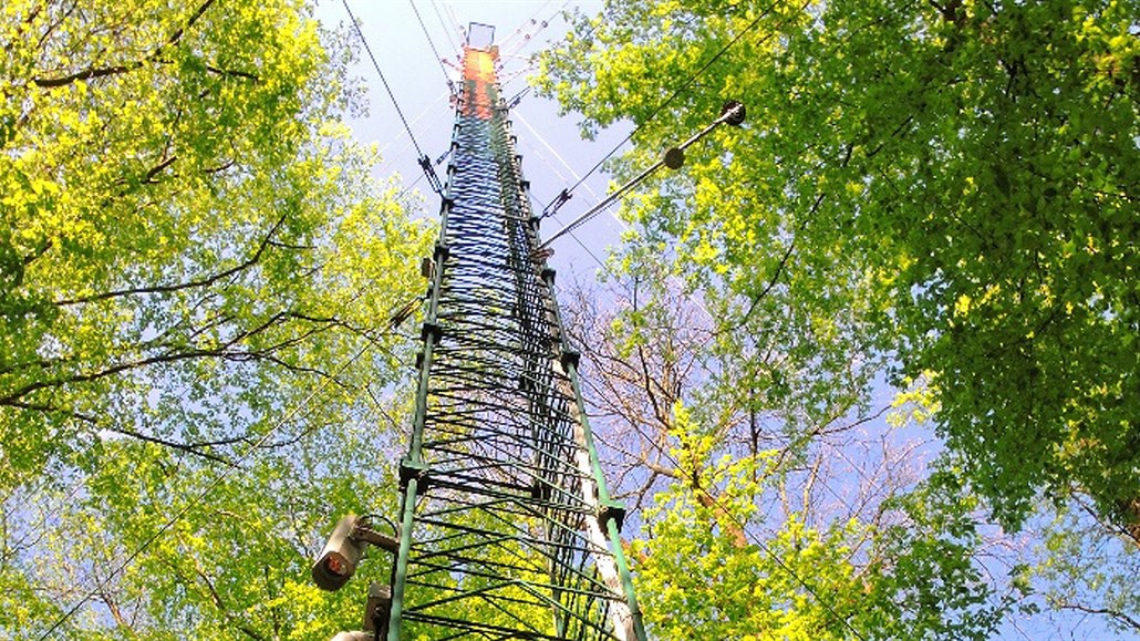 Osmatyicet metr vysoká v, která se tyí vysoko nad korunami strom u...