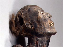Sibiř uchovala i mumie páru, který žil před 2 300 lety. Muž patřil k elitě své...
