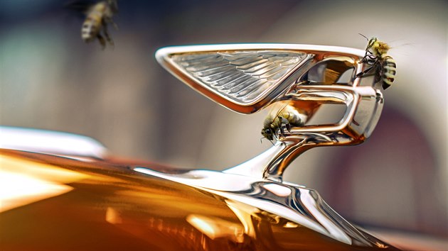 Včelaření v podání automobilky Bentley