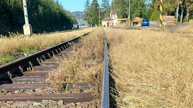 Zarostlé koleje v blízkosti železniční nehody ve stanici Kdyně na Domažlicku.