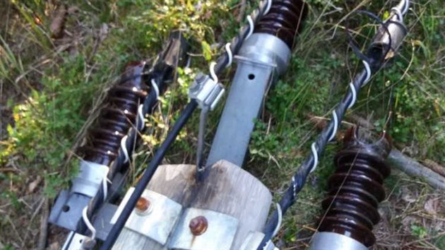 Jedenáct sloupů s elektrickým vedením strhl šofér, který v lese u Špičáku svážel dřevo. Podle policie zapomněl snížit pracovní rameno s nakládacími kleštěmi.