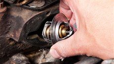 ilustra�ní snímek