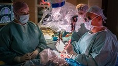 �eskobud�jovická nemocnice po�ídila �pi�kový japonský mikroskop za 15,6 milionu...