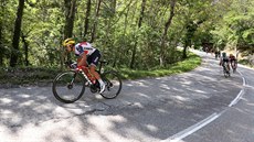Richie Porte na Tour de France 2020