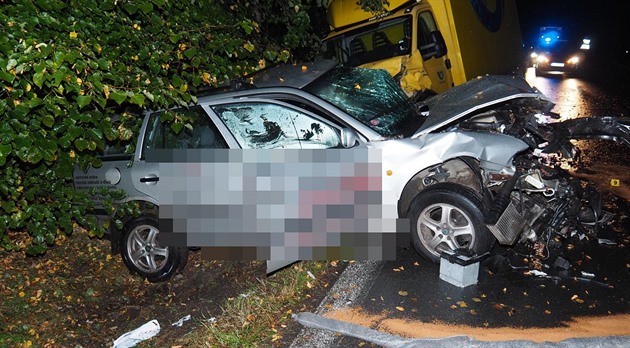 idi pi pedjídní dostal smyk a narazil do stromu a pak i dodávky v...