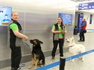 Finsko nasadilo na mezinárodní letit u Helsinek psy, kteí dokáou odhalit...
