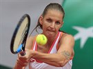 Karolína Plíková hraje míek v zápase prvního kola Roland Garros proti...