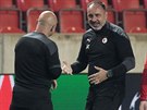 Slávistický trenér Jindich Trpiovský diskutuje se svým asistentem Zdekem...