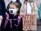 Greta Thunbergová a dalí aktivisté v oblasti zmny klimatu demonstrují ped...