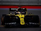 Daniel Ricciardo ze stáje Renault pi tréninku na Velkou cenu Ruska