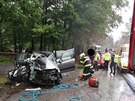 Mezi Vinkou a Kocbeemi se srazilo osobn auto s nkladnm (29. 9. 2020).
