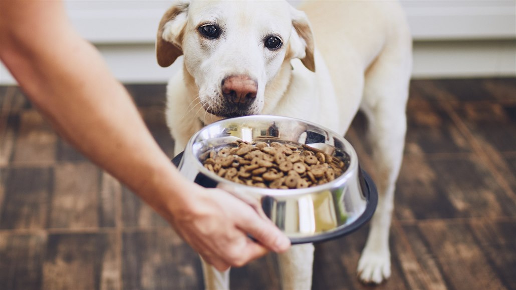 ilustra�ní snímek