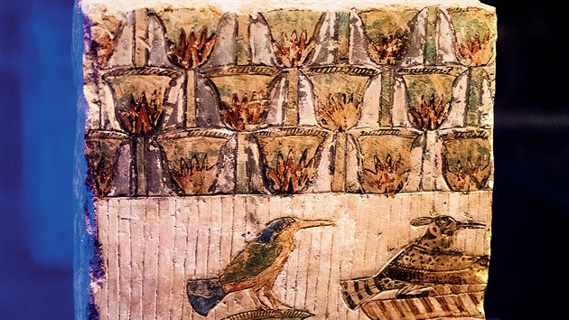 Na vstav je tak uniktn fragment relifu s vyobrazenmi ptky v papyrov houtin, kter pochz z pohebnho komplexu soudce Intiho.