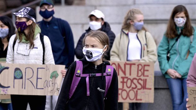 Greta Thunbergov a dal aktivist v oblasti zmny klimatu demonstruj ped vdskm parlamentem ve Stockholmu. (25. z 2020)