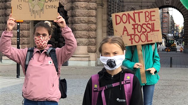 �v�dsk� aktivistka v oblasti zm�ny klimatu Greta Thunbergov� p�i demonstraci Fridays for Future (25. z��� 2020)