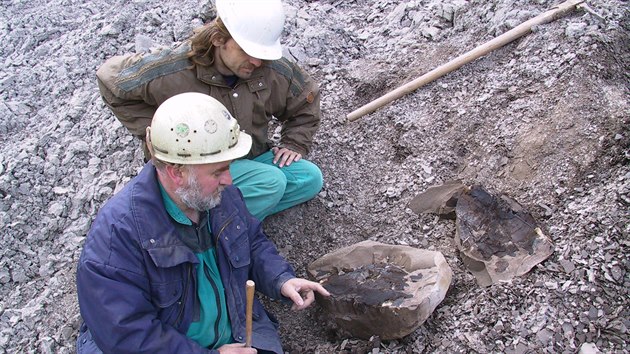 Geologové Zdeněk Dvořák a J. Svejkovský při nálezu třetihorní želvy v roce 2004.