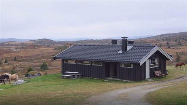 Rodina chová na pozemcích patřících k chatě koně, islandské plemeno. Momentálně vlastní pět koní.