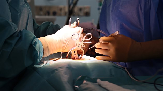 Liberecká nemocnice získala jako první v Česku a čtvrtá v Evropě certifikát pro operace páteře. Vedle operací úrazů páteře dnes přibývá i degenerativních onemocnění.