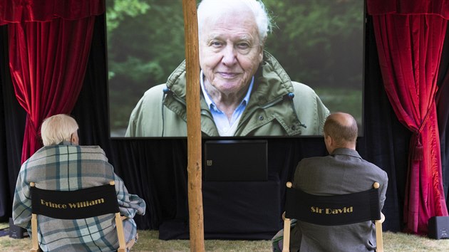 David Attenborough a princ William sledující film David Attenborough: A Life On Our Planet. (Londýn, 24. září 2020)