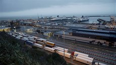 Nákladní auta čekají na trajekty v přístavním městě Dover. Britská vláda již...