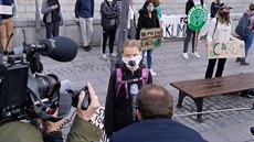 védská aktivistka Greta Thunbergová pi demonstraci Fridays for Future ped...