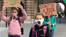 védská aktivistka v oblasti zmny klimatu Greta Thunbergová pi demonstraci...